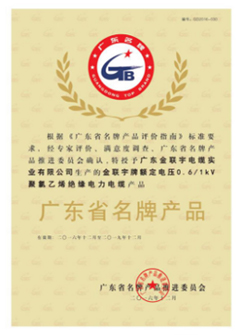 實(shí)業(yè)廣東省名牌產(chǎn)品